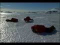 Seal Sounds from Encounters at the End of the World