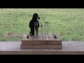 Causal understanding of water displacement by a crow