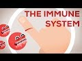 Why You Are Still Alive - The Immune System Explained